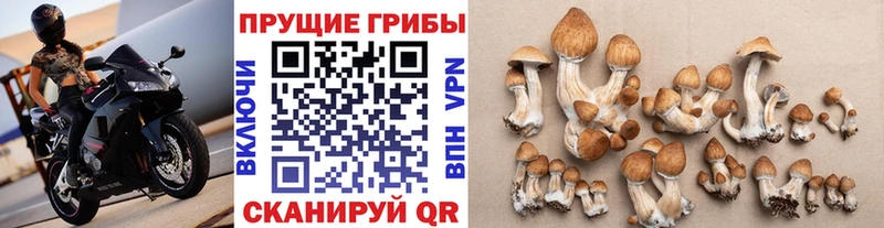 Галлюциногенные грибы мухоморы  Сычёвка 